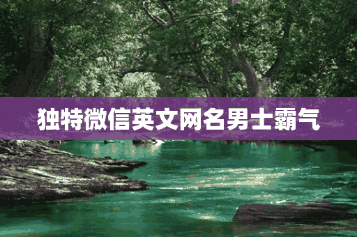 独特微信英文网名男士霸气(独特微信英文网名男士霸气两个字)